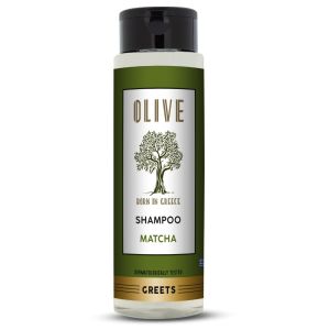 Shampoo for Everyday Use with Organic Olive Oil & Matcha Green Tea